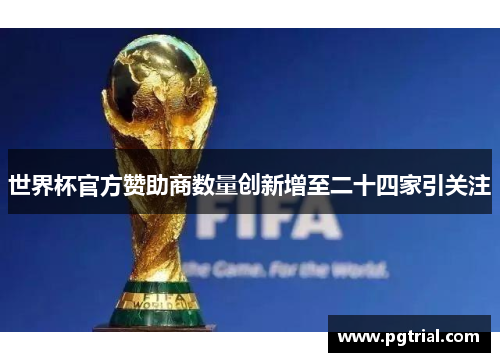 世界杯官方赞助商数量创新增至二十四家引关注 世界杯官方赞助商数量创新增至二十四家引关注