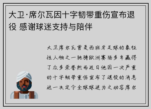 大卫·席尔瓦因十字韧带重伤宣布退役 感谢球迷支持与陪伴